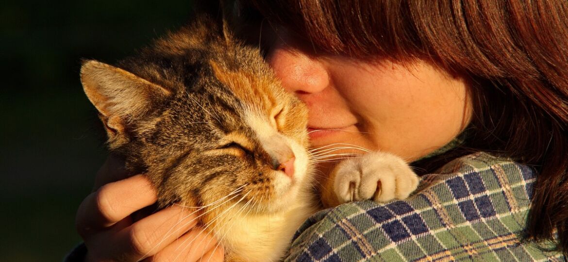 kat_people_face_person_animals_cats_pet-1122606.jpgd_