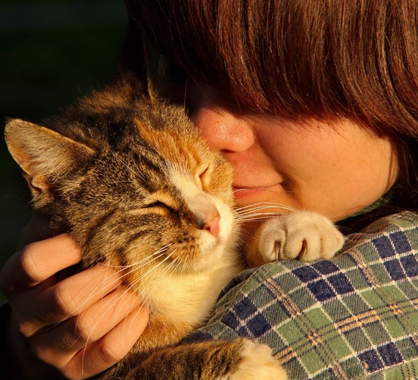 kat_people_face_person_animals_cats_pet-1122606.jpgd_